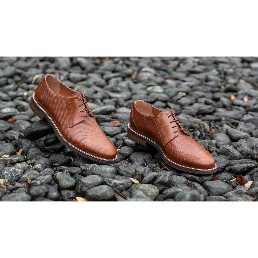 ΔΕΡΜΑΤΙΝΟ ΑΝΔΡΙΚΟ LACE UP ΤΑΜΠΑ-RAYMONT